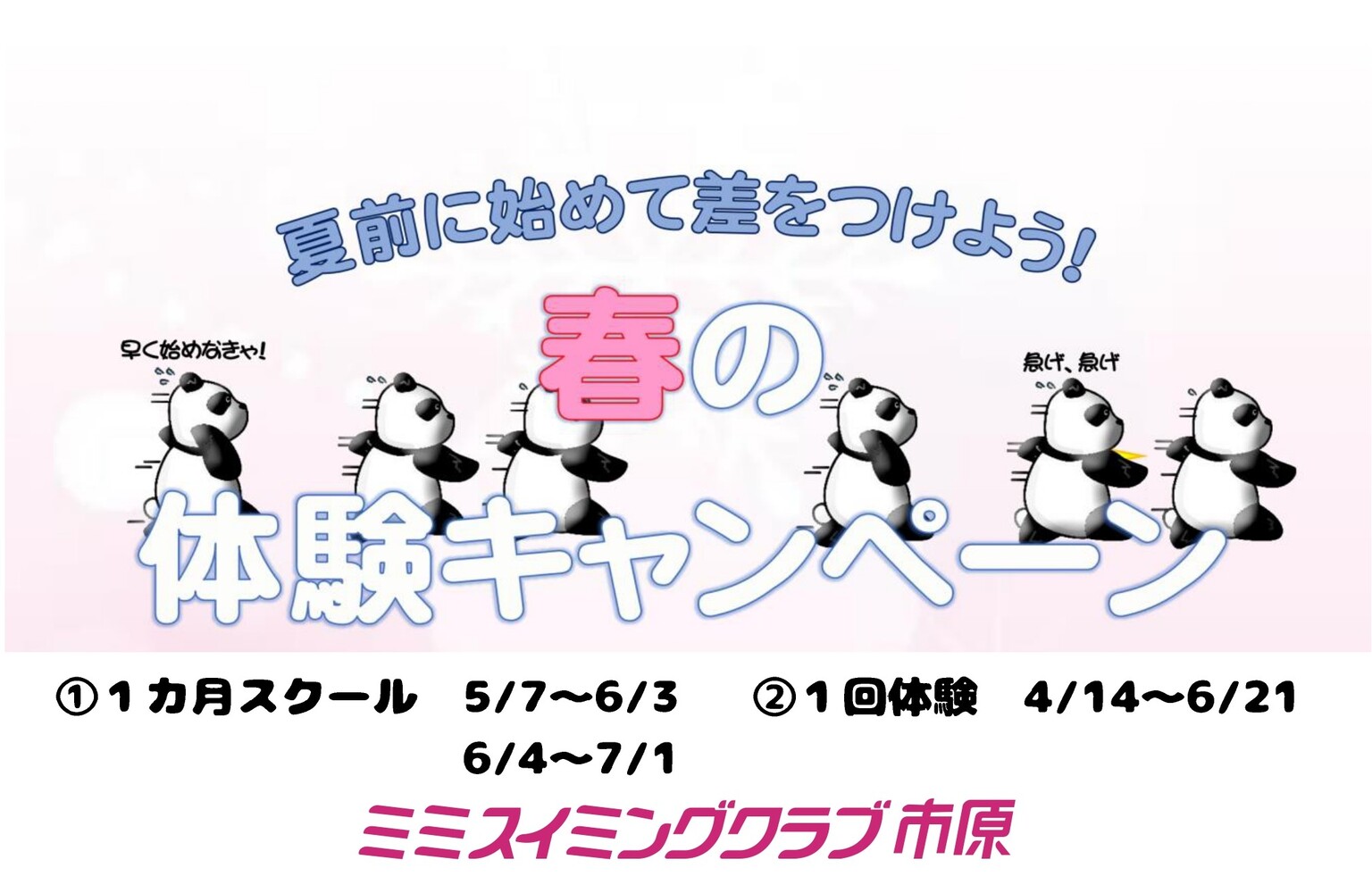 春の体験キャンペーン